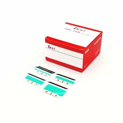 Buon prezzo 2 Nastro di poliestere con laminazione per un mercato competitivo in linea